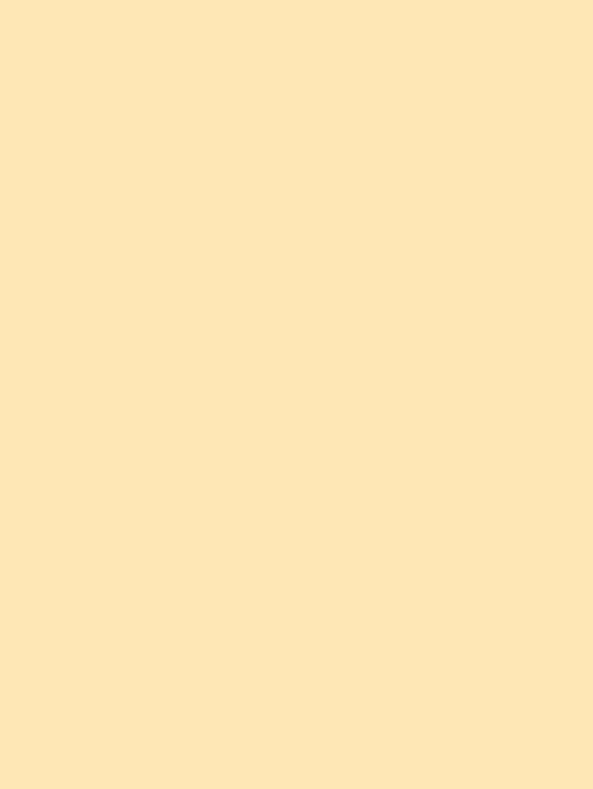 Pastel journal: 8.25 by 11 inches, Peach color journal with 120 lined pages