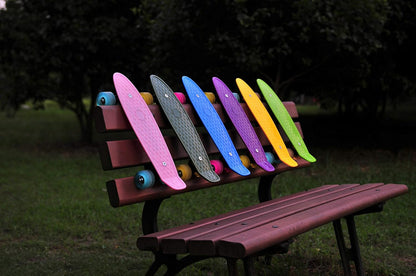 17inchX5inch Completed Skateboard Mini Cruiser Board with High Bounce PU Wheel
