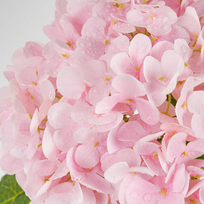 3 Pcs Pink Hydrangea Artificial Flowers,Latex Real Touch Flower with Stems
