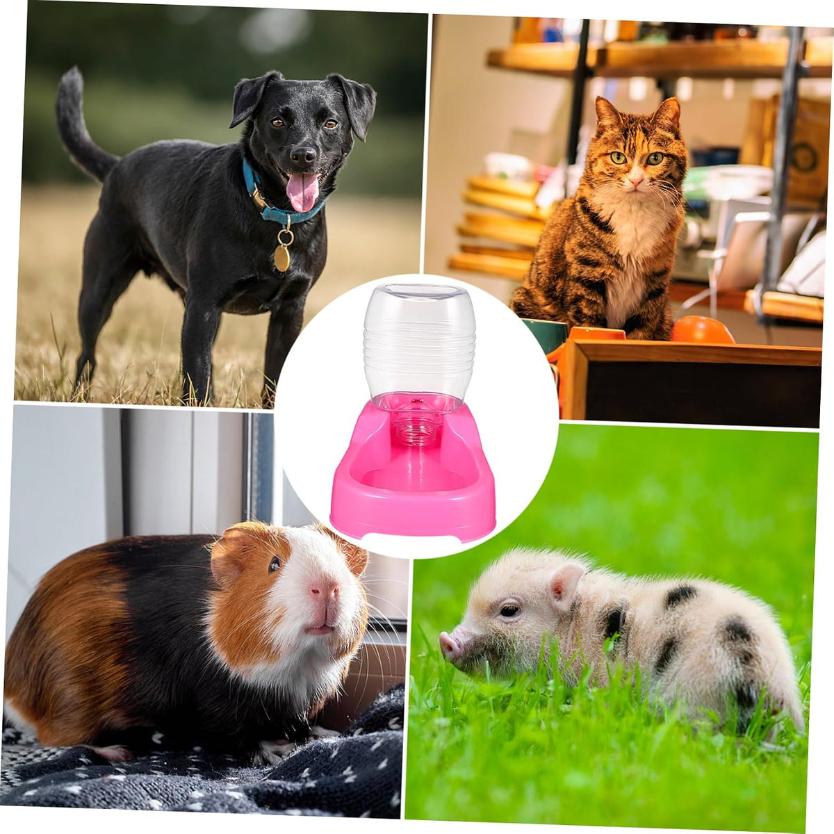 Pet Water Feeder 500ml Automatic Drinking Bowl for Dog Puppy