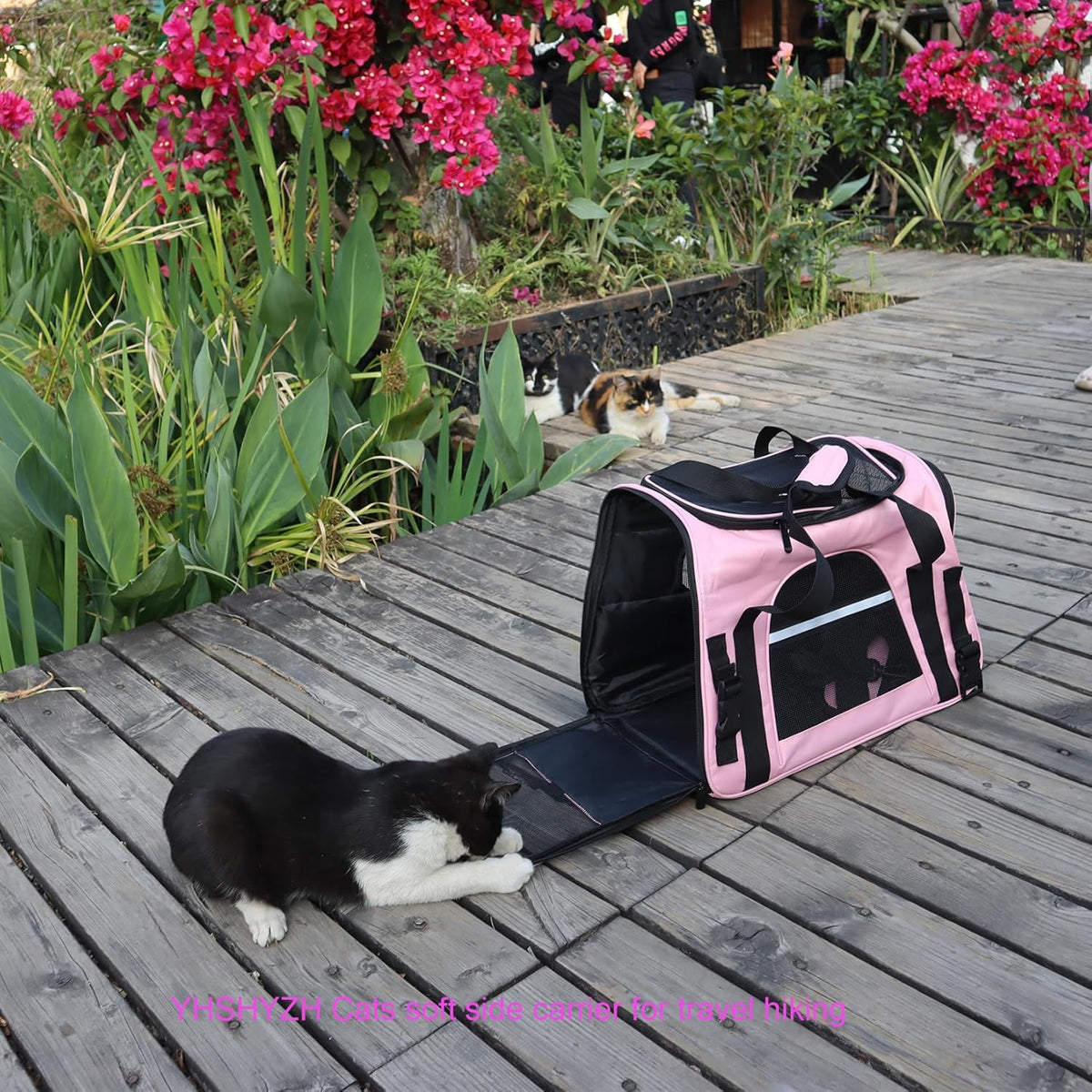 Pink Soft-Sided Cat Carrier, Airline Approved Pets Carrier for Big Cats & Small Dogs, Soft Kitten Travel Bag with Mesh Windows, Animal Carrier Up to 15 Lbs (Pink, Small)