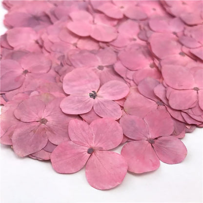 Pink Hydrangea Dried Flowers, 96Pcs Natural Dried Pressed Flower Petals for Resin Art Scrapbooking Jewelry Making DIY Crafts