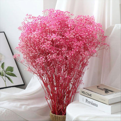 Dried Babys Breath Flowers Bouquet-17 Inch 2500+ Pink Dry Flowers, Natural Gypsophila Branches for Wedding, Table Vase Decor, DIY Wreath Floral, Home Office Party Garden Decoration (3oz)