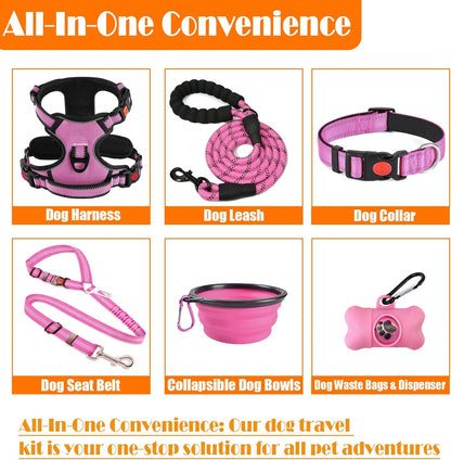 LOBEVE No Pull Dog Harness, Collar & Leash Set with Travel Accessories