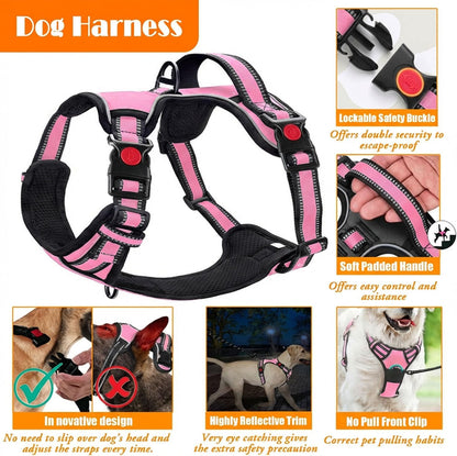 LOBEVE No Pull Dog Harness, Collar & Leash Set with Travel Accessories