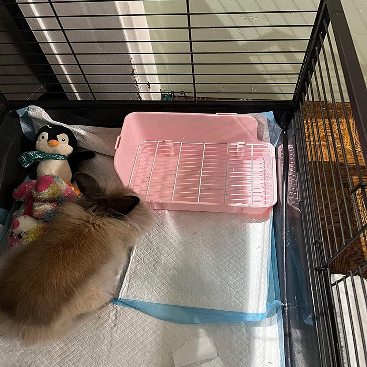 Guinea Pig Litter Box Corner Bunny Toilet Small Animal Potty Training with Dustpan Broom Chew Toys for Chinchilla Ferret Hedgehog Gerbil (10 Pcs)