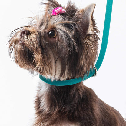 Jelly Pet Grooming Loop Slip Style (1/2" x 30", Hot Pink) | Made in the USA