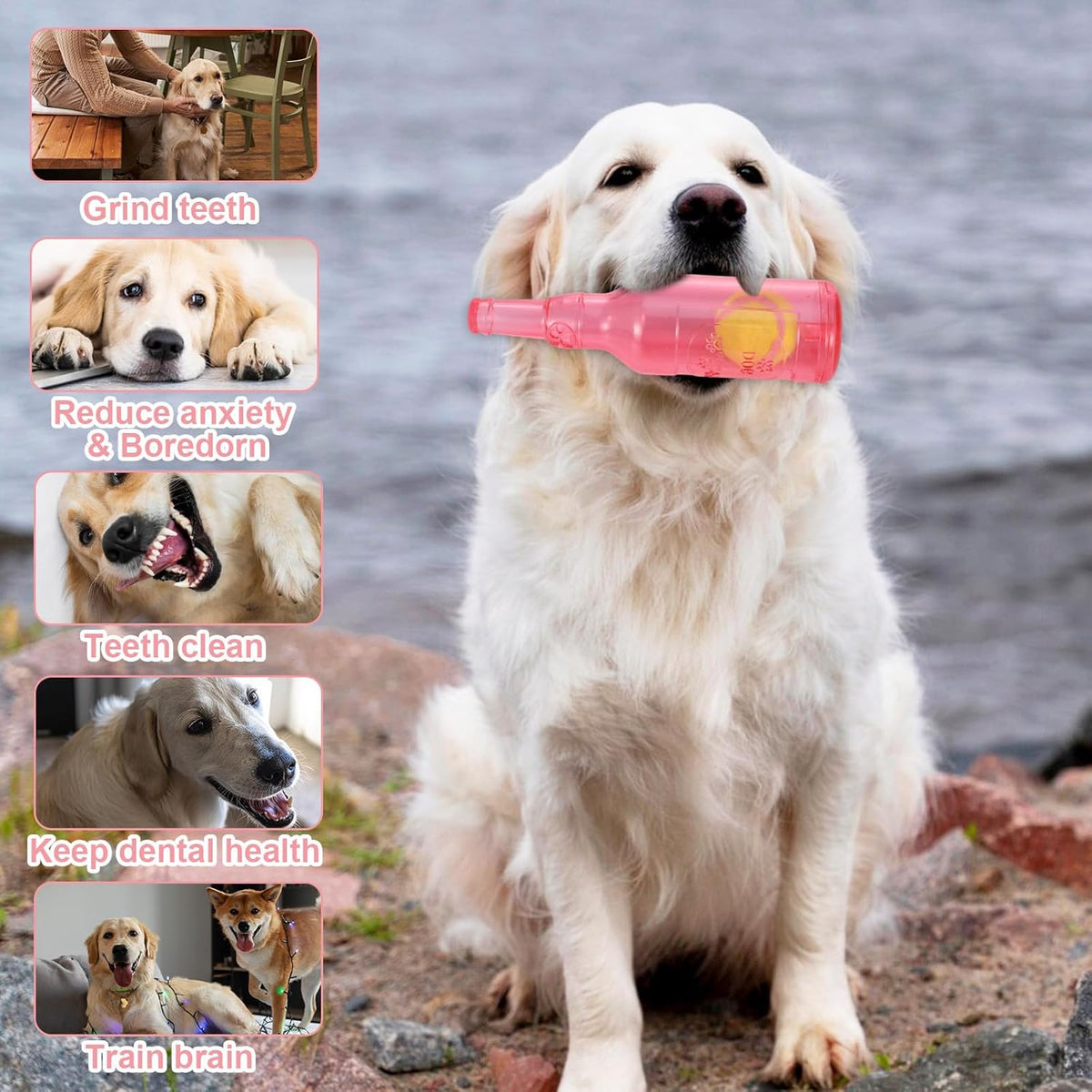 Red Water Bottle Dog Toy for Aggressive Chewers Small Medium Dogs
