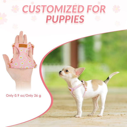 No Pull Dog Harness with Leash for Small Medium Dogs, Pink XXS