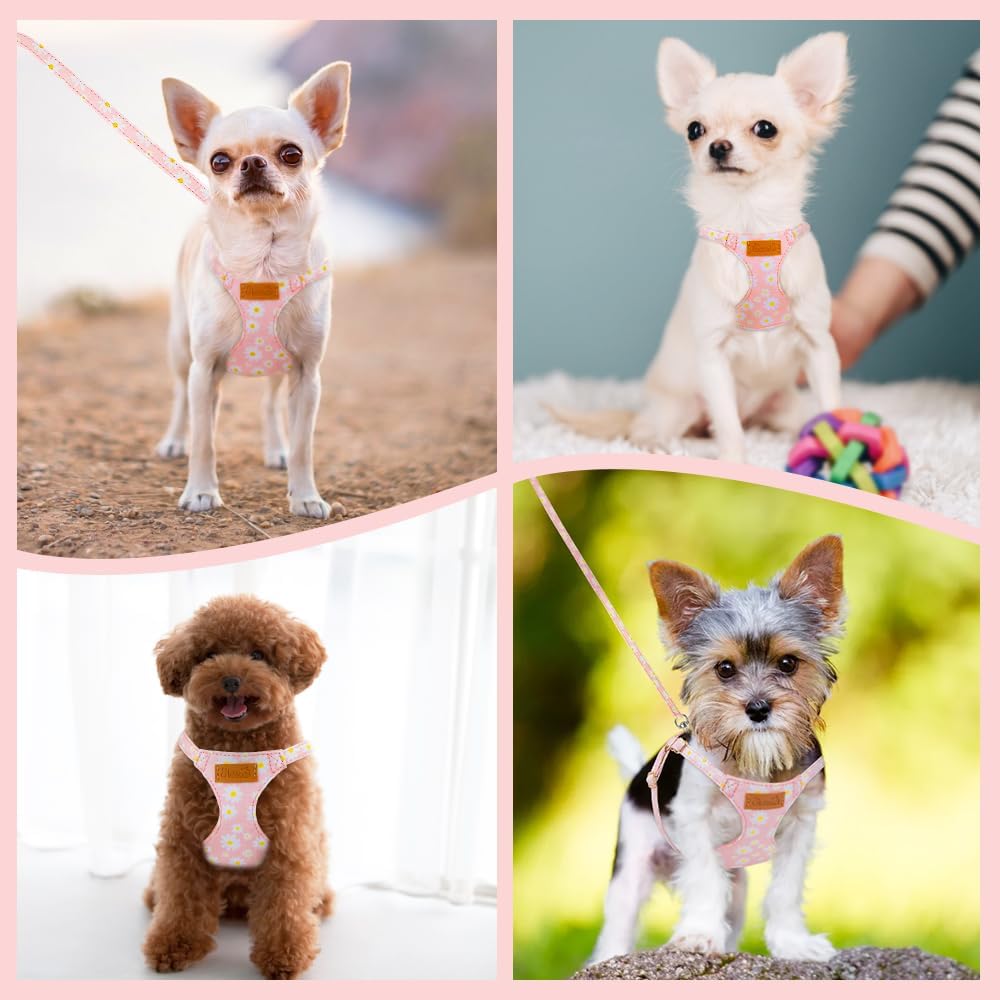 No Pull Dog Harness with Leash for Small Medium Dogs, Pink XXS