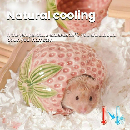 Strawberry Ceramic Hamster Hideout, Summer Cool Cave for Small Pets, Chew Resistant & Easy Clean Hamster House, Decorative Hideaway for Syrian Dwarf Hamsters, Mice (Big Strawberry - Pink)