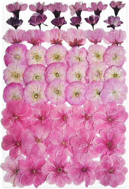 51 Pcs Real Natural Cherry Blossom Dried Pressed Flowers - Delicate Pink Florals for Resin Jewelry, Candle Making, Frame Decor & DIY Craft Projects
