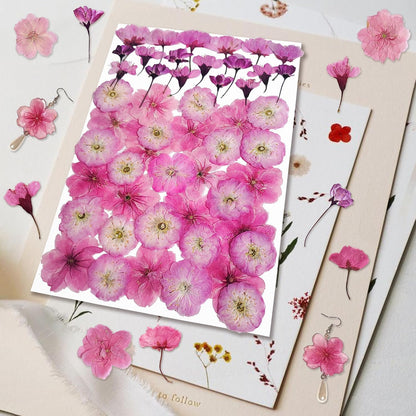 51 Pcs Real Natural Cherry Blossom Dried Pressed Flowers - Delicate Pink Florals for Resin Jewelry, Candle Making, Frame Decor & DIY Craft Projects