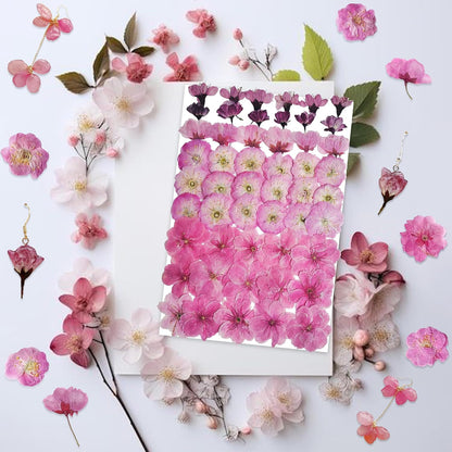 51 Pcs Real Natural Cherry Blossom Dried Pressed Flowers - Delicate Pink Florals for Resin Jewelry, Candle Making, Frame Decor & DIY Craft Projects