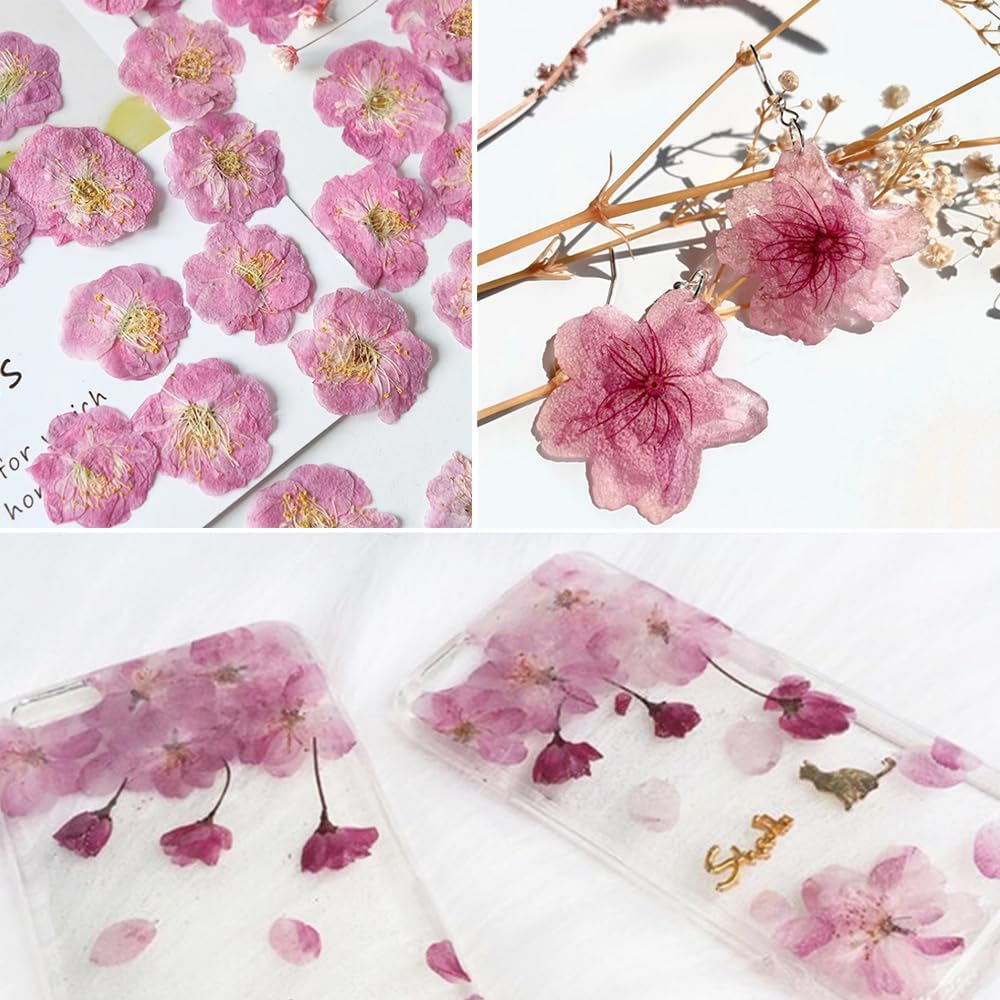 51 Pcs Real Natural Cherry Blossom Dried Pressed Flowers - Delicate Pink Florals for Resin Jewelry, Candle Making, Frame Decor & DIY Craft Projects