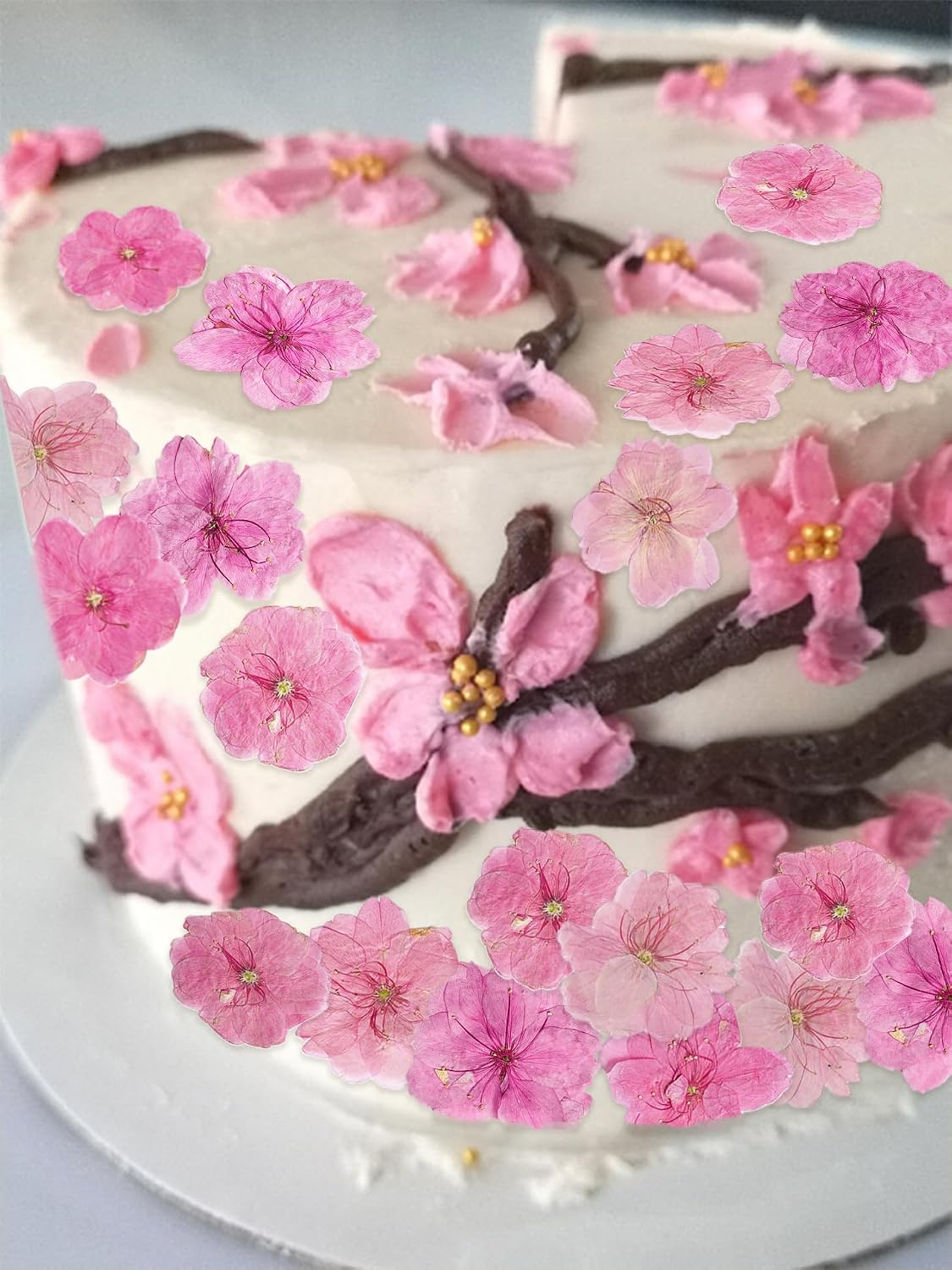 51 Pcs Real Natural Cherry Blossom Dried Pressed Flowers - Delicate Pink Florals for Resin Jewelry, Candle Making, Frame Decor & DIY Craft Projects