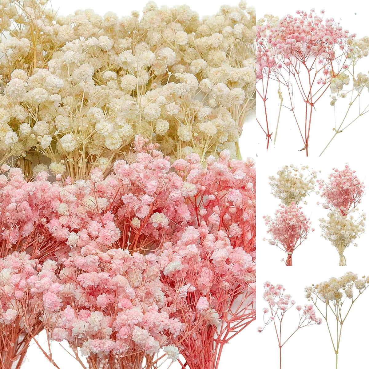 5600+ Mini Dried Baby's Breath Flowers Pink & Cream White Bulk Bouquet