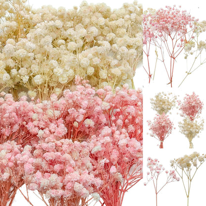 5600+ Mini Dried Baby's Breath Flowers Pink & Cream White Bulk Bouquet