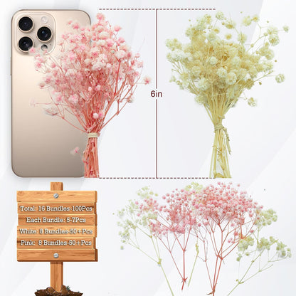 5600+ Mini Dried Baby's Breath Flowers Pink & Cream White Bulk Bouquet