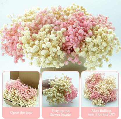 5600+ Mini Dried Baby's Breath Flowers Pink & Cream White Bulk Bouquet