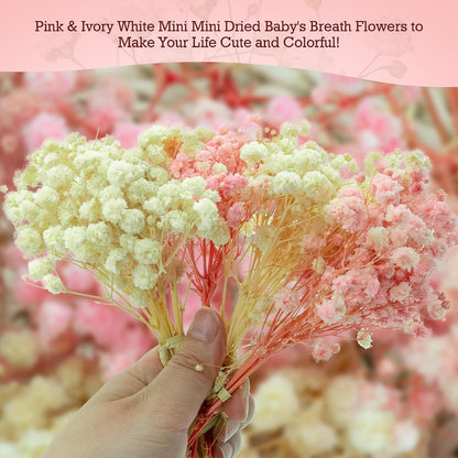 5600+ Mini Dried Baby's Breath Flowers Pink & Cream White Bulk Bouquet