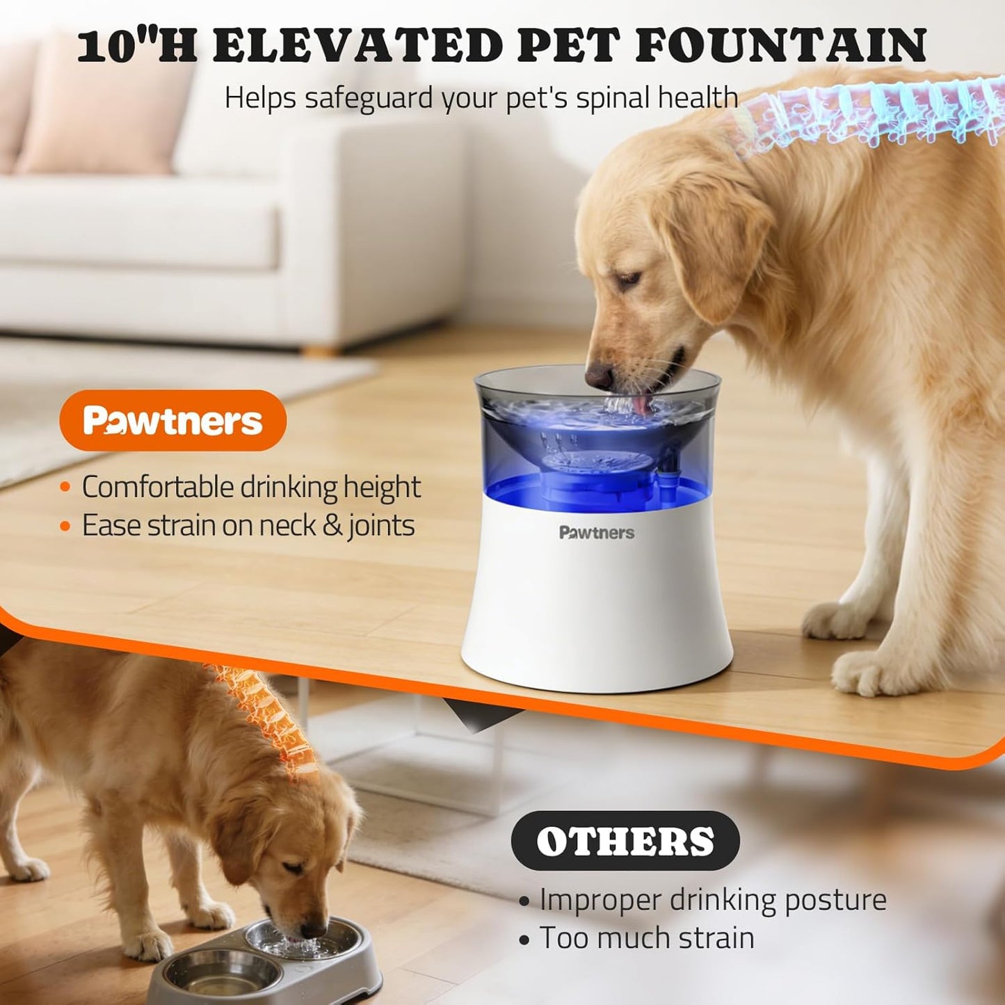 Pawtners 1 Gal/3.5L Dog Water Fountain,Elevated Dog Water Bowl Dispenser | Vortex Flow filter,Automatic Pet Water Fountain for Large Dogs Inside, Deep Drinking Area and Quiet Pump, 10" H