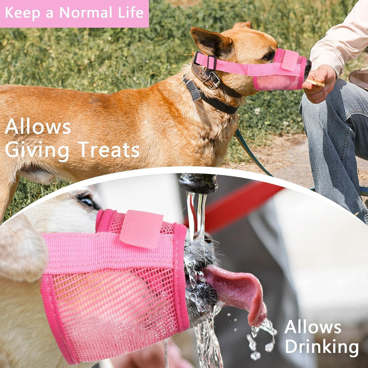 Nylon Mesh Breathable Dog Mouth Cover, Quick Fit Dog Muzzle with Adjustable Straps，Pet Mouth Cover, to Prevent Biting and Screaming to Prevent Accidental Eating(M, Pink)
