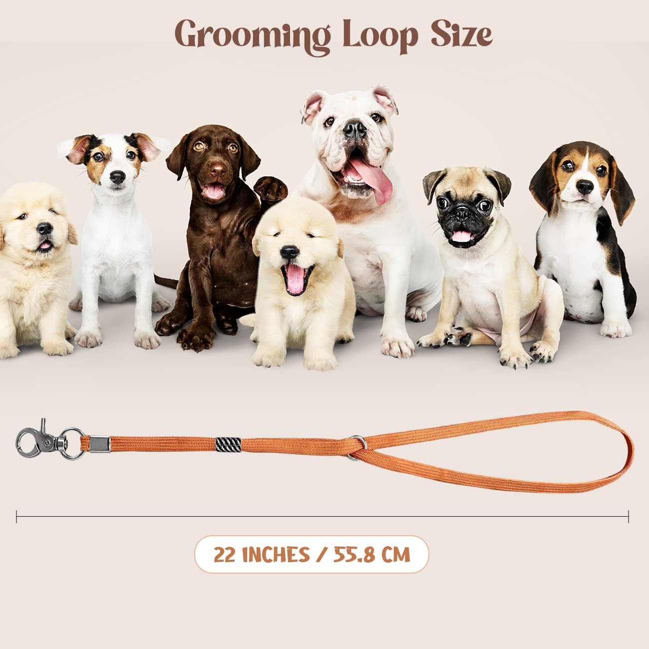Pet Grooming Loop for Dogs - Nylon Restraint Noose Adjustable Slip Rope Dog Grooming Supplies for Dog Grooming Arm and Pet Grooming Table - 3 Pack