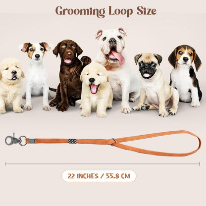 Pet Grooming Loop for Dogs - Nylon Restraint Noose Adjustable Slip Rope Dog Grooming Supplies for Dog Grooming Arm and Pet Grooming Table - 3 Pack