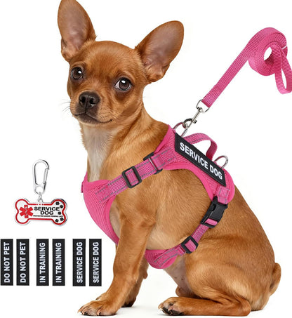 Service Dog Vest for Small Breed Dogs with ID Tag – Lightweight Puppy Harness and Leash Set with 6 PCS Patches, Ideal Service Animal Vest for Training, Complete Service Dog Gear, Hot Pink, XS