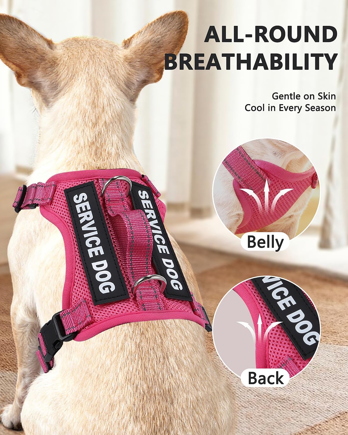 Service Dog Vest for Small Breed Dogs with ID Tag – Lightweight Puppy Harness and Leash Set with 6 PCS Patches, Ideal Service Animal Vest for Training, Complete Service Dog Gear, Hot Pink, XS