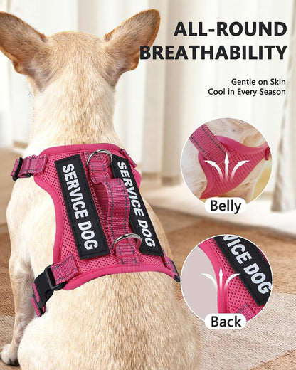 Service Dog Vest for Small Breed Dogs with ID Tag – Lightweight Puppy Harness and Leash Set with 6 PCS Patches, Ideal Service Animal Vest for Training, Complete Service Dog Gear, Hot Pink, XS