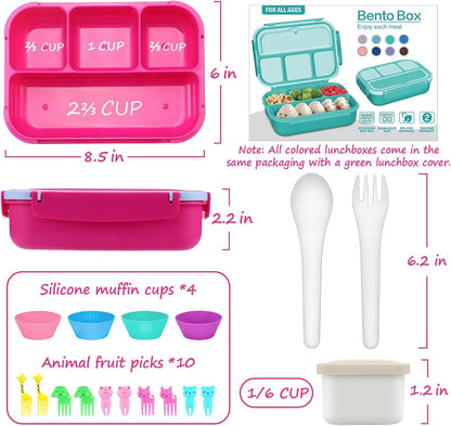 Bento Box for Kids Adults, School Toddler Lunch Box for Boys Girls, Lunch Box Containers with 4 Compartments, Sauce Container, Utensils, Food Picks and Muffin Cups for School, Pink Blue