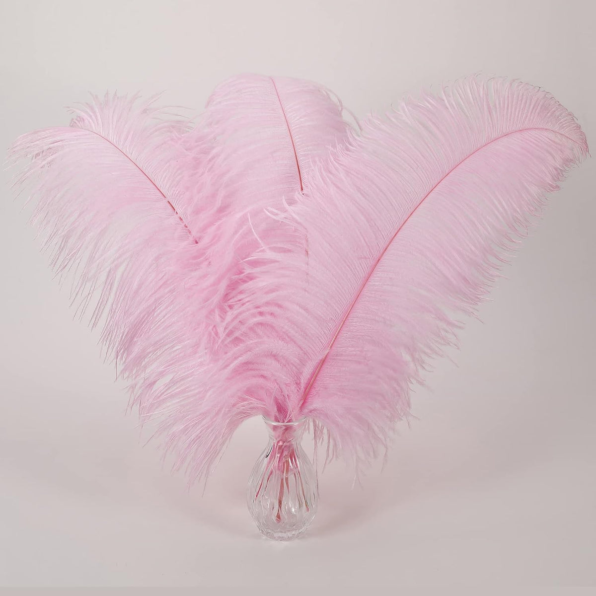 Large Light Pink Ostrich Feathers for Centerpieces,16-18Inch,10Pcs