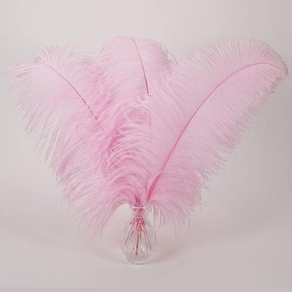 Large Light Pink Ostrich Feathers for Centerpieces,16-18Inch,10Pcs