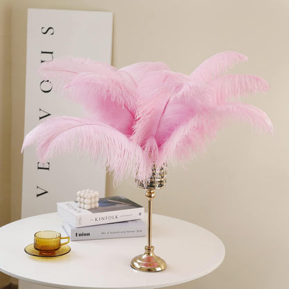 Large Light Pink Ostrich Feathers for Centerpieces,16-18Inch,10Pcs