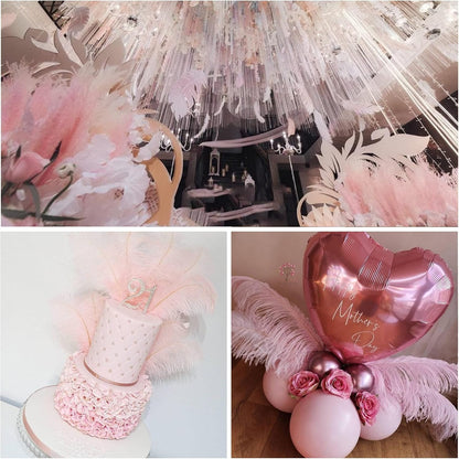 Large Light Pink Ostrich Feathers for Centerpieces,16-18Inch,10Pcs
