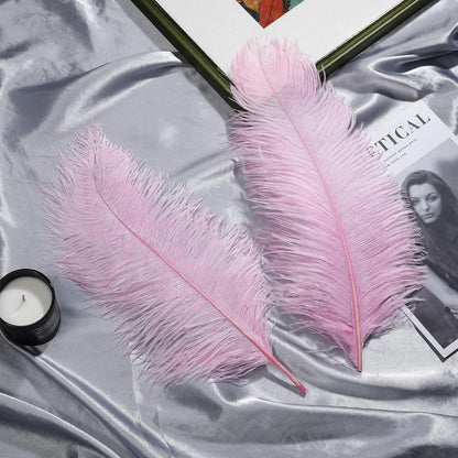 Large Light Pink Ostrich Feathers for Centerpieces,16-18Inch,10Pcs