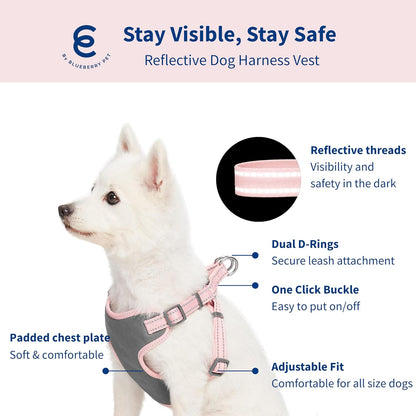 Matching Reflective Harness and Leash Set | Adjustable Pastel Vest with Lead for Dogs – Great Value Gift Set | Adjustable Baby Pink Vest for Small Breeds