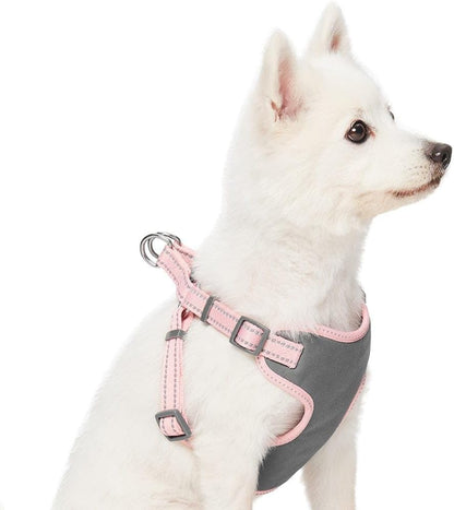 Matching Reflective Harness and Leash Set | Adjustable Pastel Vest with Lead for Dogs – Great Value Gift Set | Adjustable Baby Pink Vest for Small Breeds