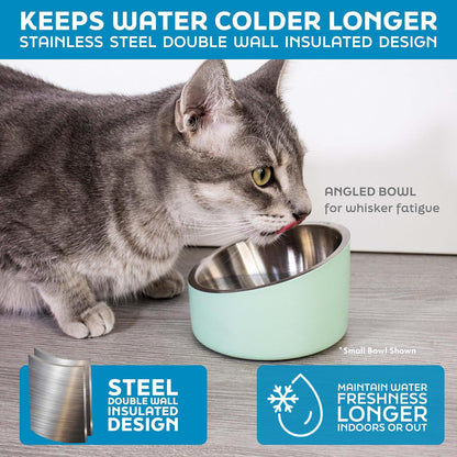 Stainless Steel Slanted Dog Cat Food Bowl 8 oz Hyper Pink