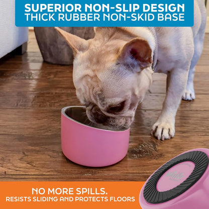 Stainless Steel Slanted Dog Cat Food Bowl 8 oz Hyper Pink