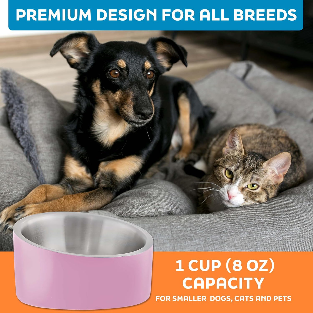 Stainless Steel Slanted Dog Cat Food Bowl 8 oz Hyper Pink