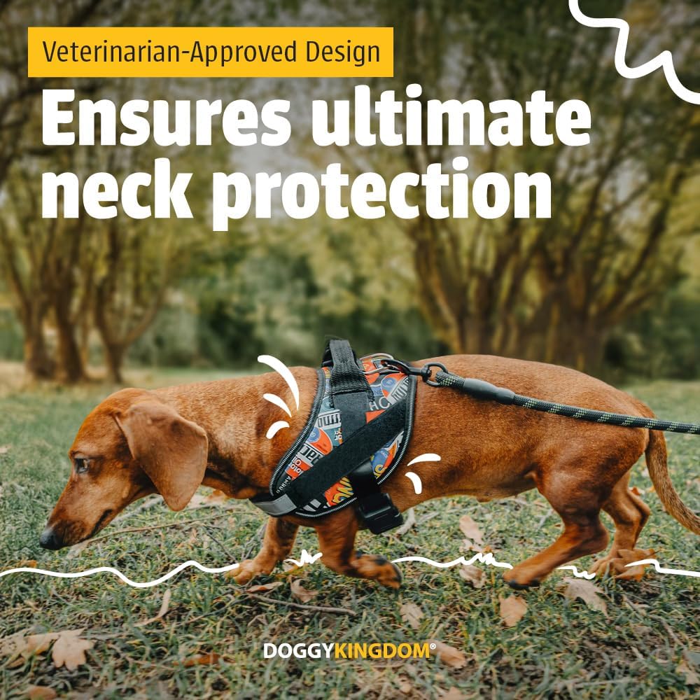 DOGGYKINGDOM No Choke Dog Harness with Handle and Patch Panels, Adjustable Reflective Dog Vest for Medium Sized Dog, Blue, M
