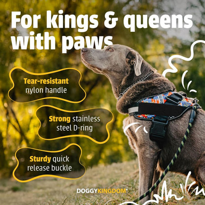 DOGGYKINGDOM No Choke Dog Harness with Handle and Patch Panels, Adjustable Reflective Dog Vest for Medium Sized Dog, Blue, M