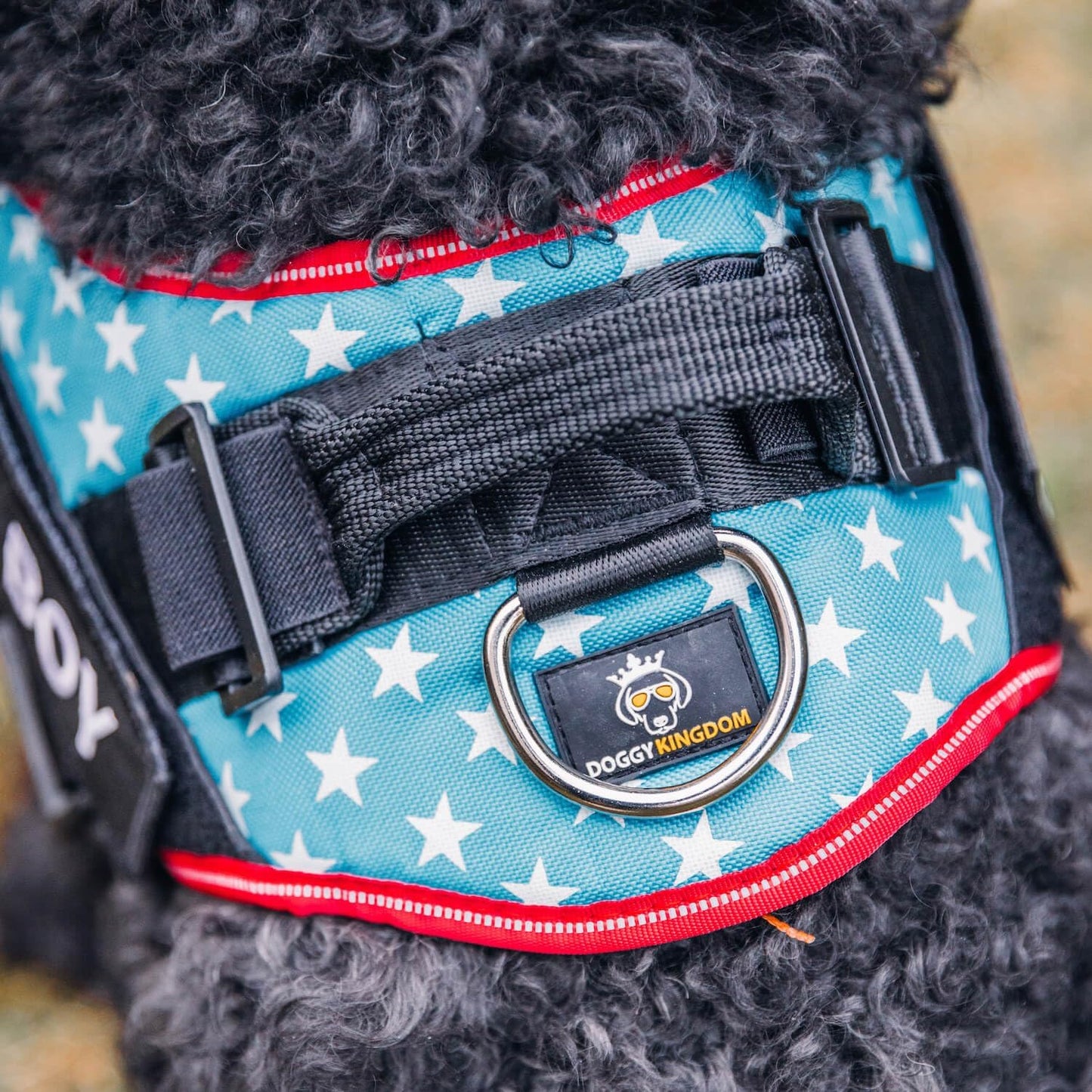 DOGGYKINGDOM No Choke Dog Harness with Handle and Patch Panels, Adjustable Reflective Dog Vest for Medium Sized Dog, Blue, M