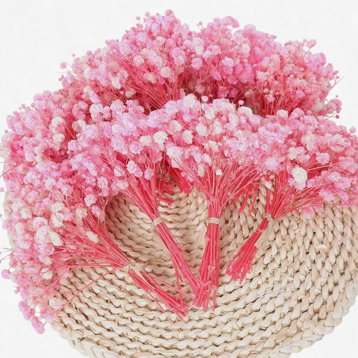 9000+ Blooms Pink Dried Baby's Breath Flowers 150 Stems for Weddings