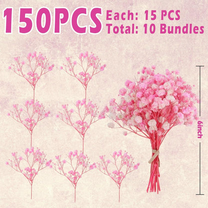 9000+ Blooms Pink Dried Baby's Breath Flowers 150 Stems for Weddings