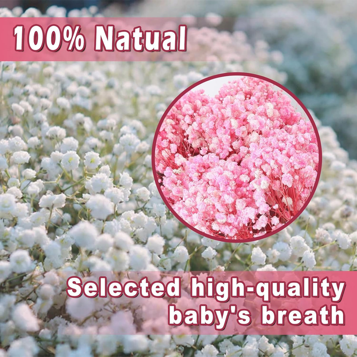 9000+ Blooms Pink Dried Baby's Breath Flowers 150 Stems for Weddings