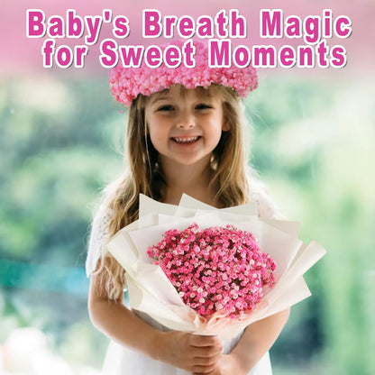 9000+ Blooms Pink Dried Baby's Breath Flowers 150 Stems for Weddings